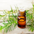 I benefici dell'olio di melaleuca per l'acne