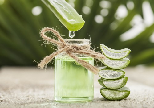 I benefici e gli usi dell'aloe vera: un trattamento naturale per l'acne