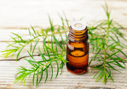 I benefici dell'olio di melaleuca per l'acne